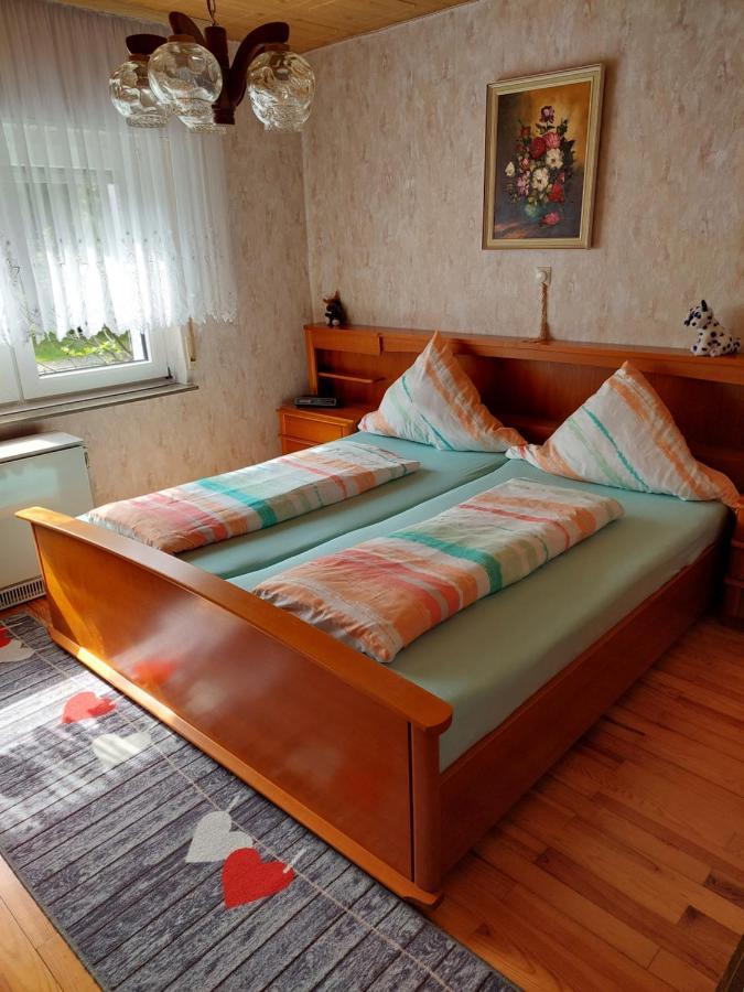 Urige Gemuetliche Ferienwohnung 64 M2 In Dielheim, Naehe Heidelberg Exterior foto