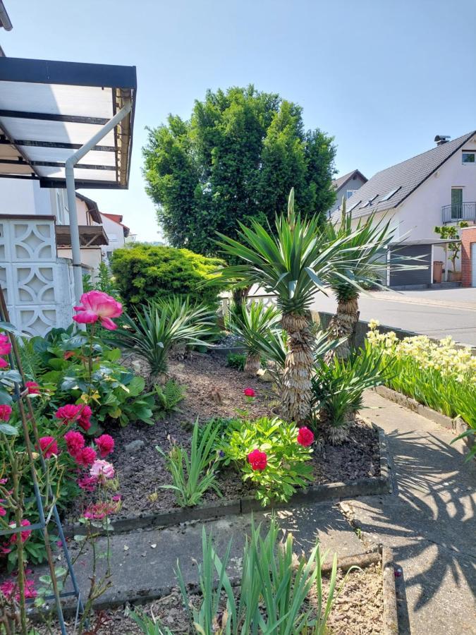 Urige Gemuetliche Ferienwohnung 64 M2 In Dielheim, Naehe Heidelberg Exterior foto